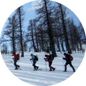 Activités-sportives-hiver