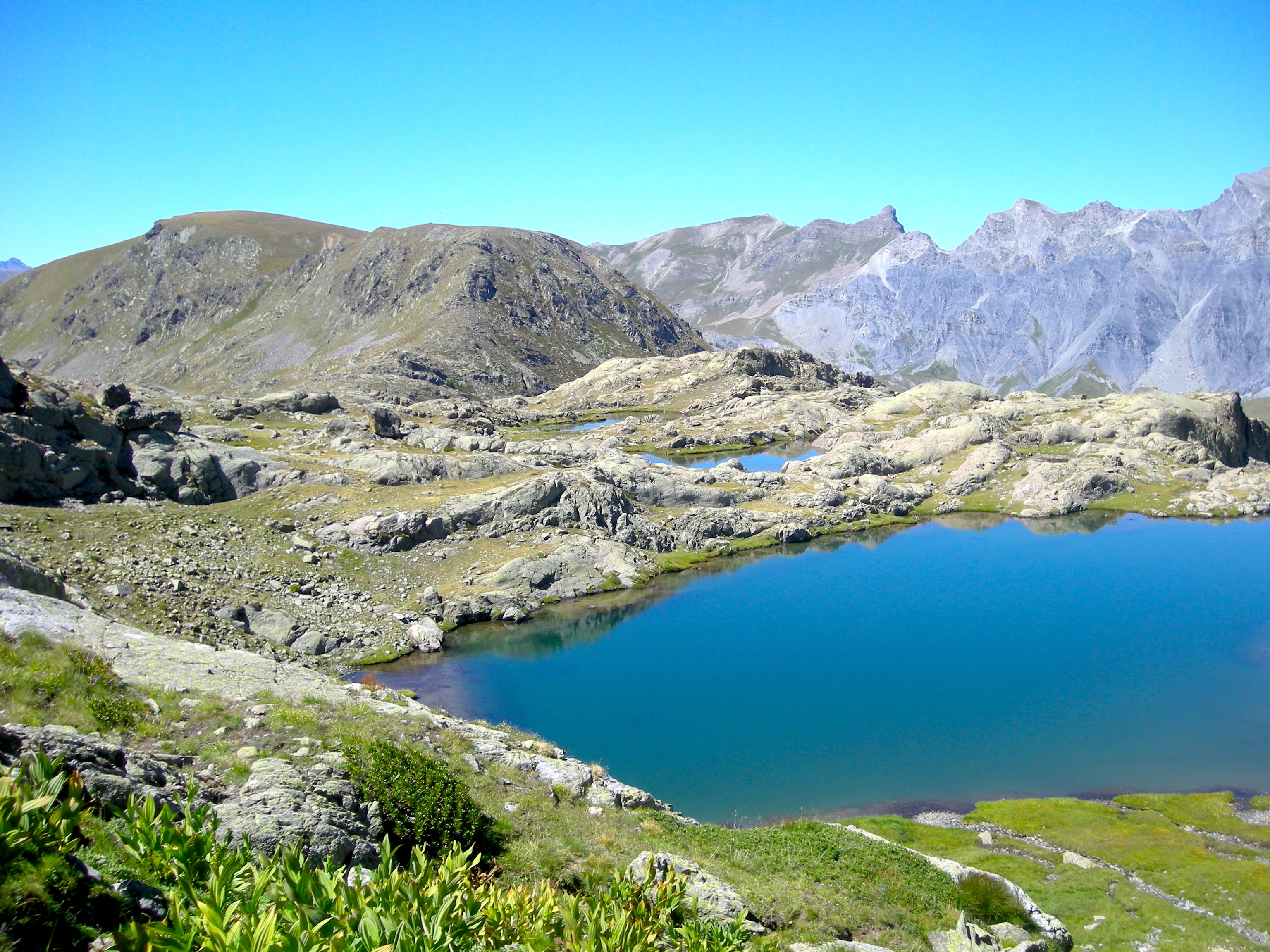 lac