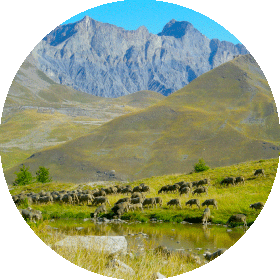 lac-et-montagne-et-animaux