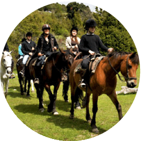 equitation