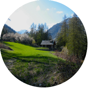 refuge-
