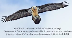 Samedi 12 juillet – Projection commentée « La vallée sauvage »