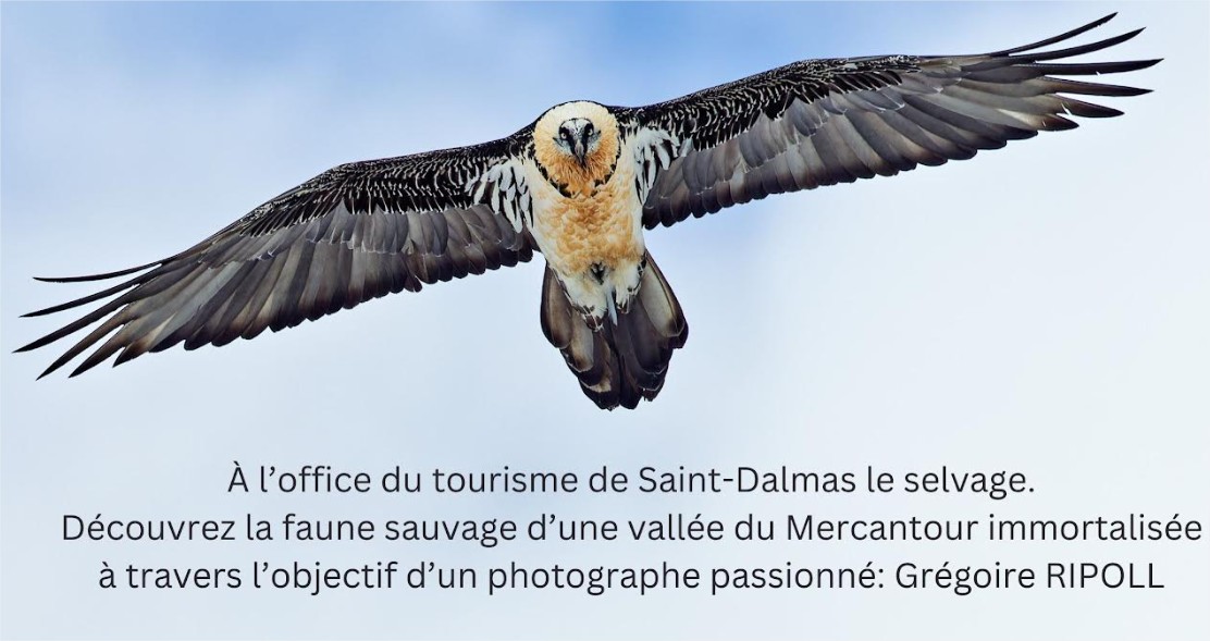 grégoire affiche coupée